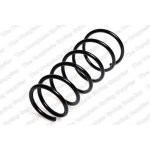 Coil SpringBJ3D28011,BJ1V28011